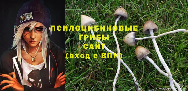 тгк Алексин