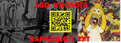 прущие грибы Шебекино