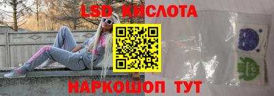 прущие грибы Шебекино