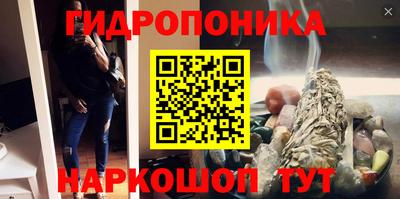 прущие грибы Шебекино