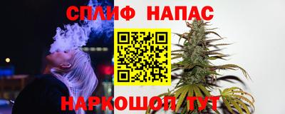 прущие грибы Шебекино