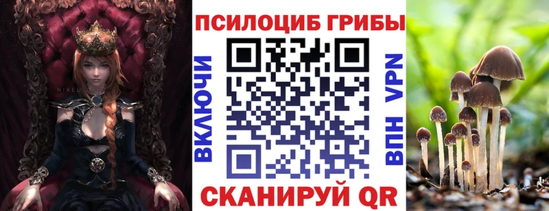 Галлюциногенные грибы Psilocybine cubensis  kraken как войти  Моршанск 