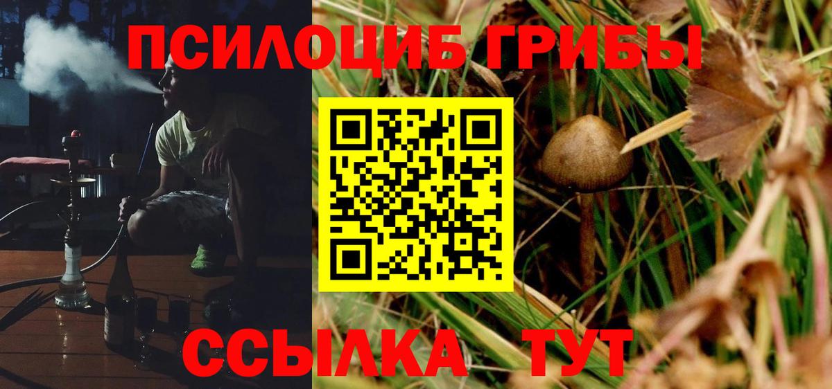 Псилоцибиновые грибы GOLDEN TEACHER  Псилоцибиновые грибы Psilocybe  Моршанск  Вход с VPN 