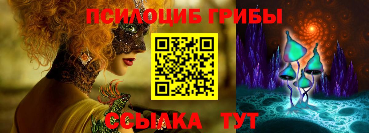 Галлюциногенные грибы Cubensis Моршанск